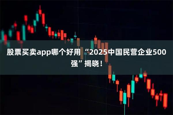 股票买卖app哪个好用 “2025中国民营企业500强”揭晓！