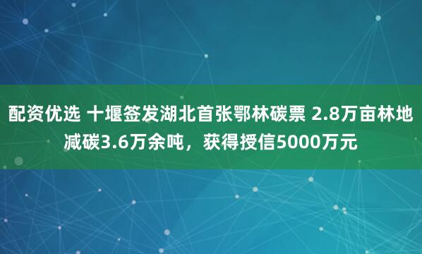 配资优选 十堰签发湖北首张鄂林碳票 2.8万亩林地减碳3.6万余吨，获得授信5000万元