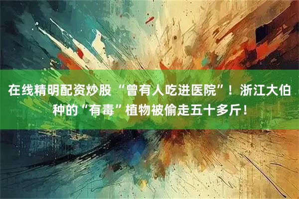 在线精明配资炒股 “曾有人吃进医院”！浙江大伯种的“有毒”植物被偷走五十多斤！
